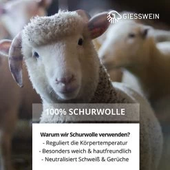Giesswein Woolpops Hüttenschuhe -Schuhgeschäft 16919345 04